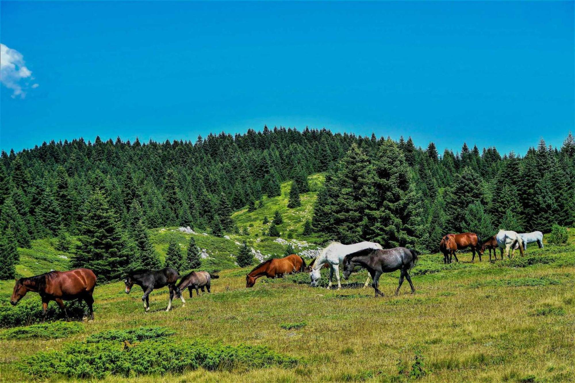라 몰리나 El Mirador De La Molina 아파트 외부 사진